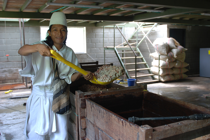 Fermentation Fermentation